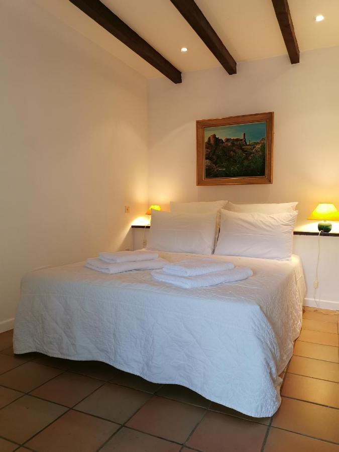 Le Cellier De Beaulieu, Au Pied De La Cite, Maison De Vacances Avec Climatisation Et Jacuzzi 카르카손 외부 사진