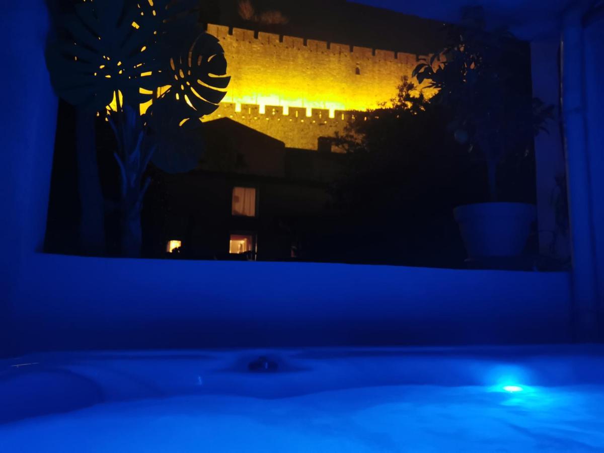 Le Cellier De Beaulieu, Au Pied De La Cite, Maison De Vacances Avec Climatisation Et Jacuzzi 카르카손 외부 사진